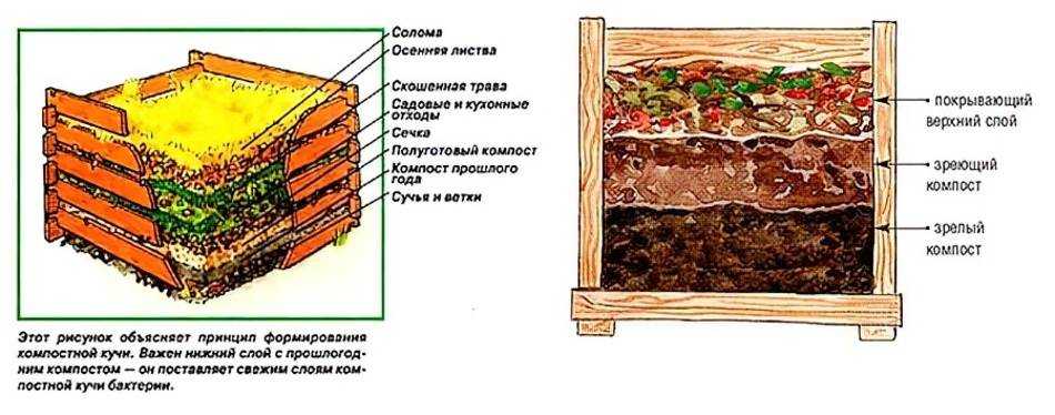 Что такое перегной как его сделать и применять удобрение