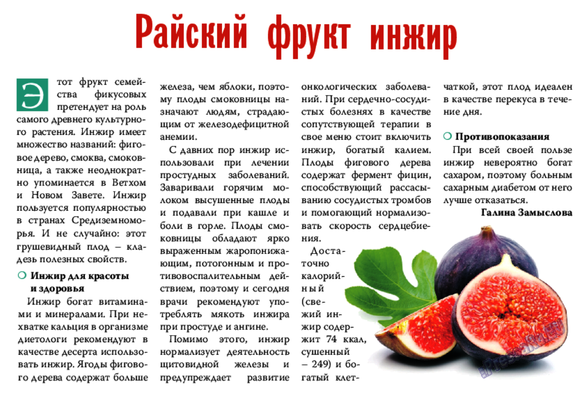 Сушеный инжир: польза, вред, как едят и хранить, рецепты