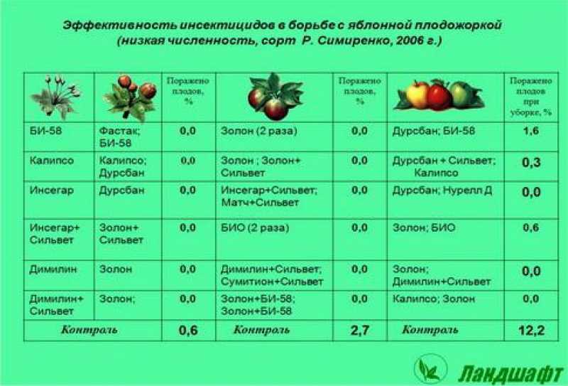Когда и чем опрыскивать деревья осенью на зиму