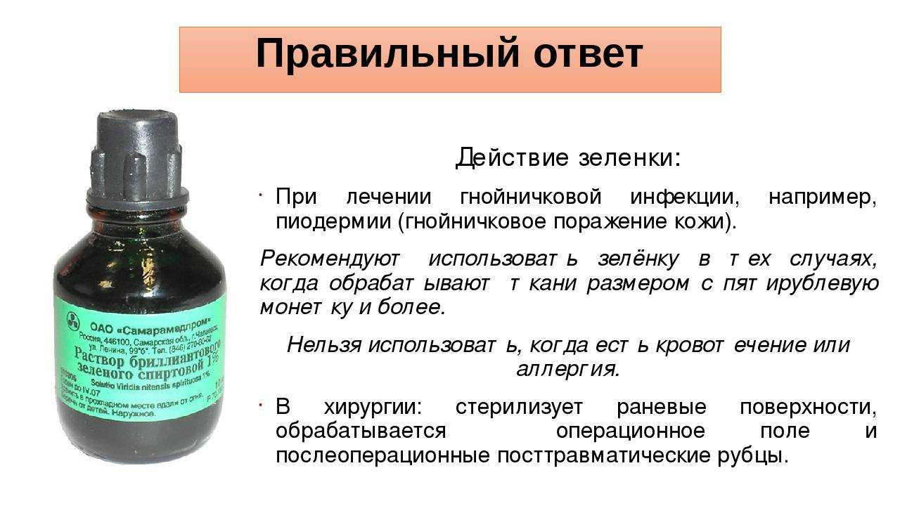 Две недели не предел: 13 самых стойких срезанных цветов