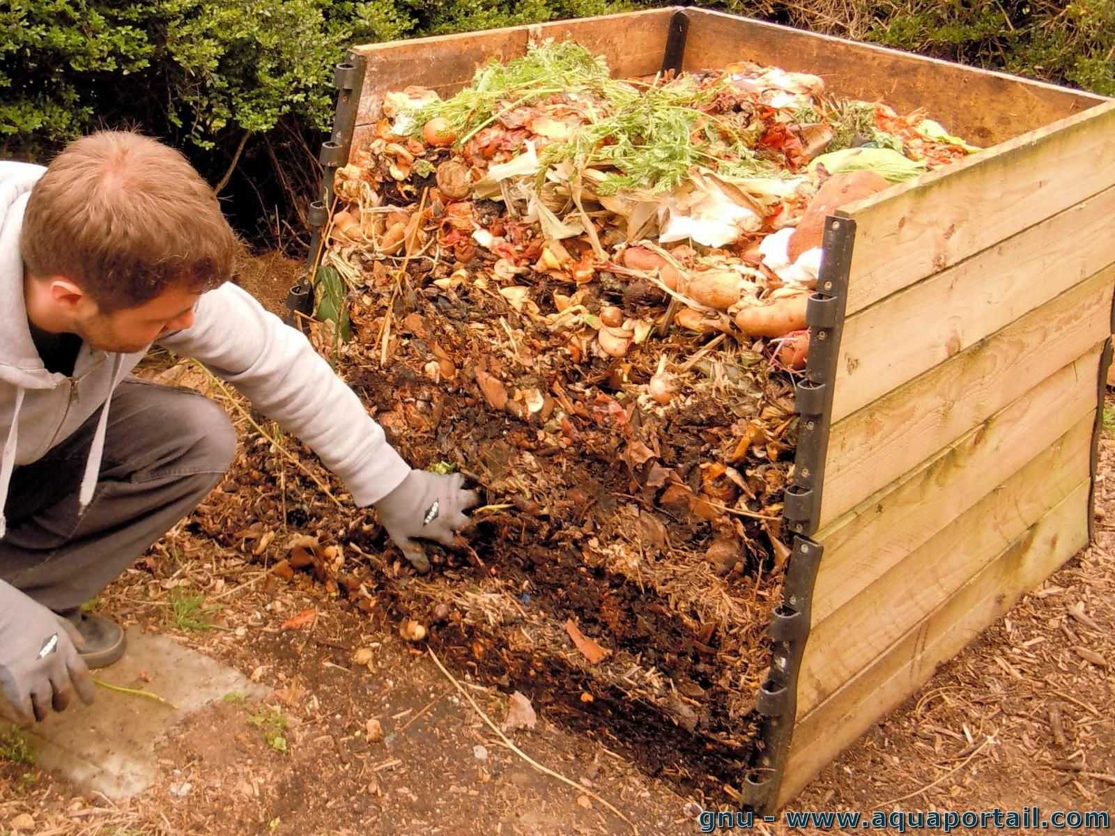 Как выращивать овощи на компостной куче