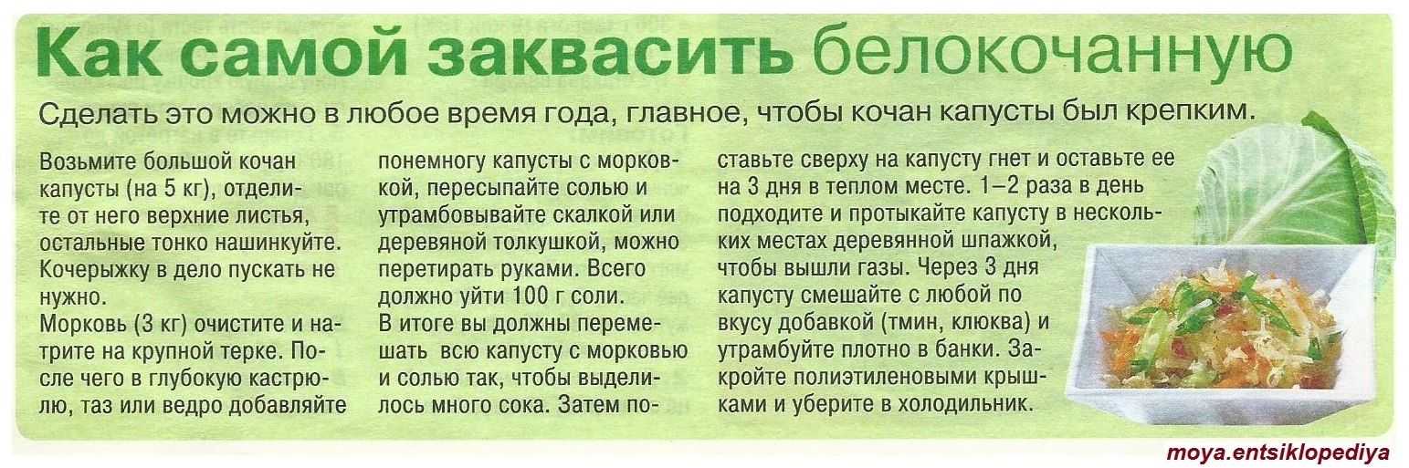 Как варить морскую капусту — несколько простых правил