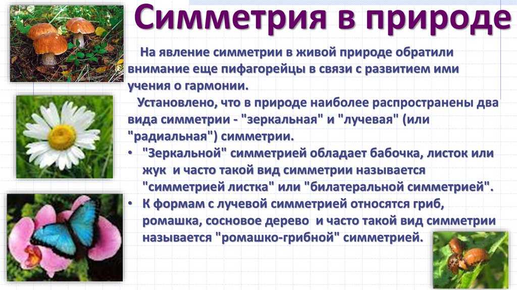 Оглавление