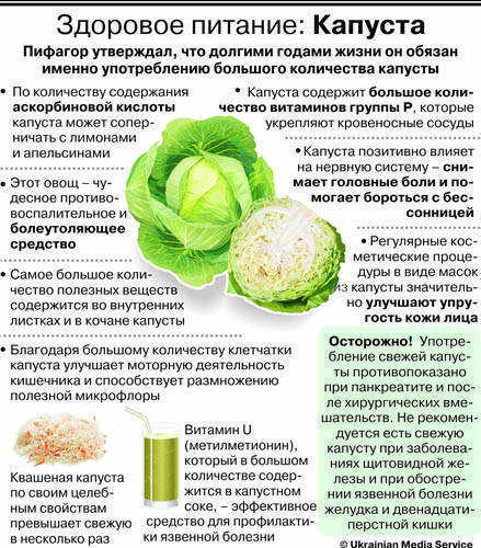 Замерзла капуста белокочанная что делать