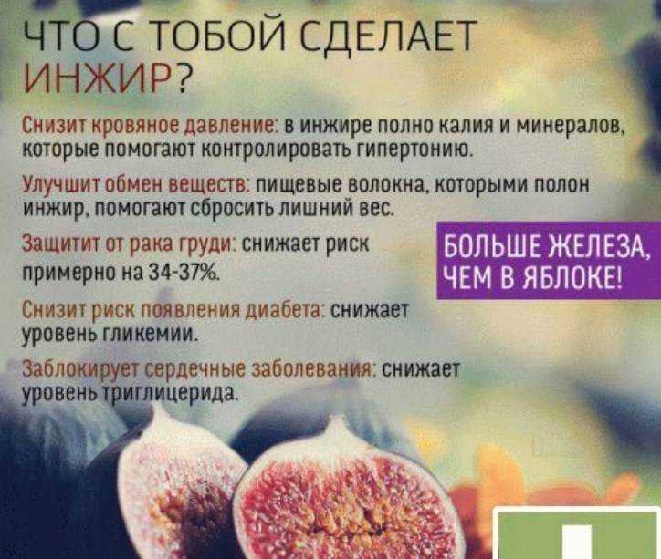 Как едят инжир свежий и сушеный