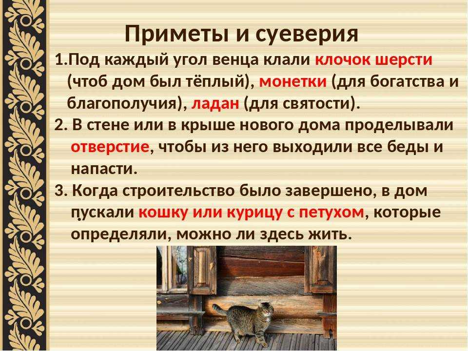 Как выглядит цветок у разных видов алоэ и как добиться их цветения в домашних условиях