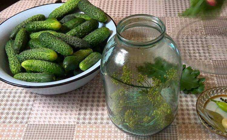 Можно ли консервировать горькие огурцы: влияние на вкус и рецепты закруток