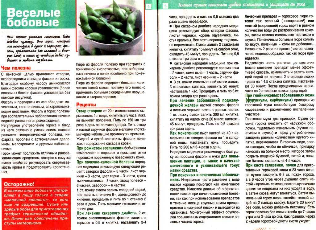 Как собрать и сохранить семена гороха, фасоли и бобов