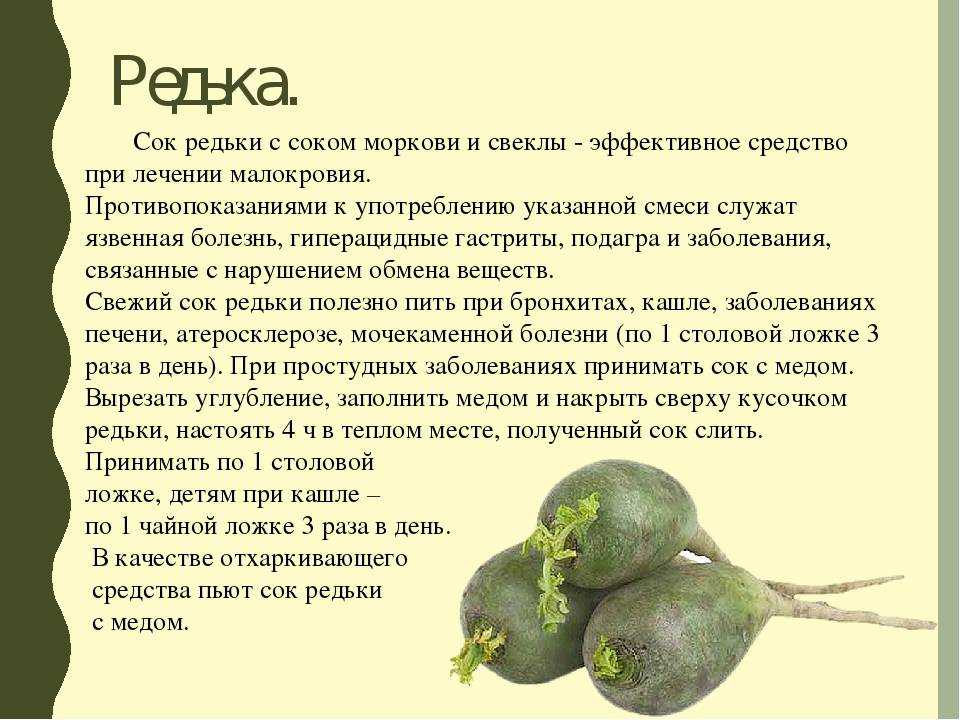 Редька с медом от кашля при беременности | можно ли редьку с медом от кашля беременным: рецепт, отзывы, свойства