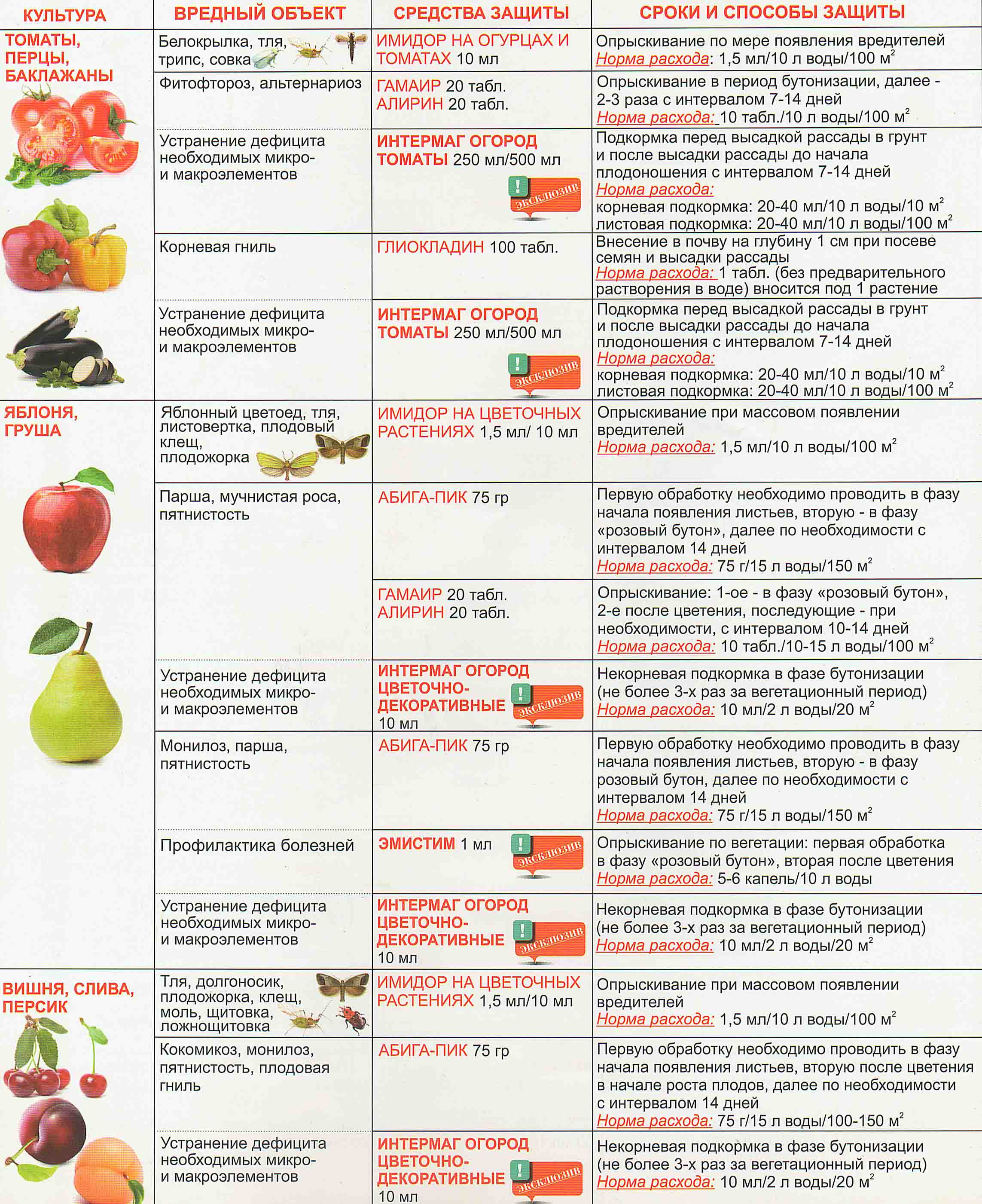 Схема защиты персика от болезней и вредителей