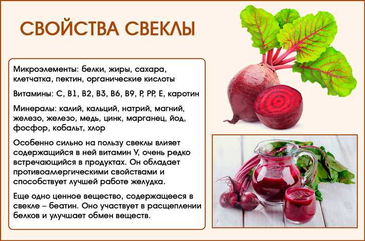Чем отличается сахарная свекла от кормовой и столовой — разница между видами визуально, по составу и другим признакам, описание, фото, как выбрать лучший овощ?