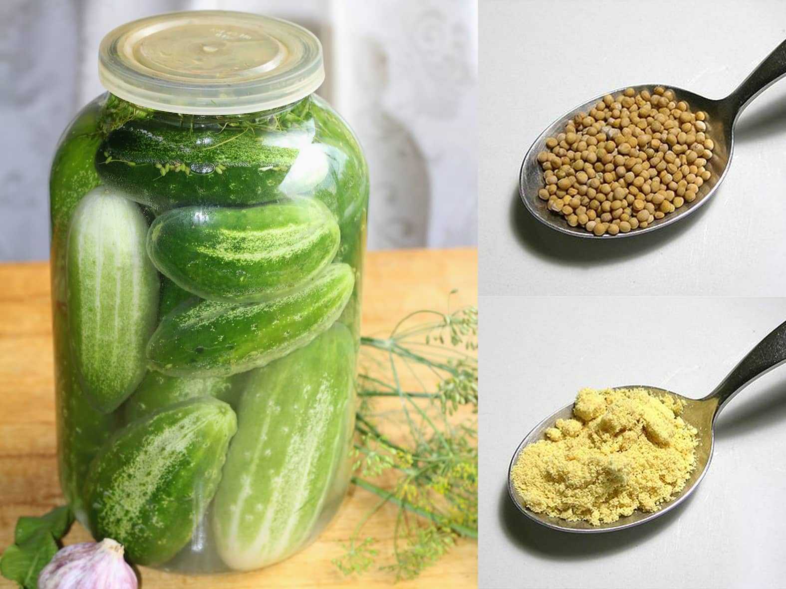 Огурцы с горчицей на зиму — 6 самых вкусных рецептов в банках