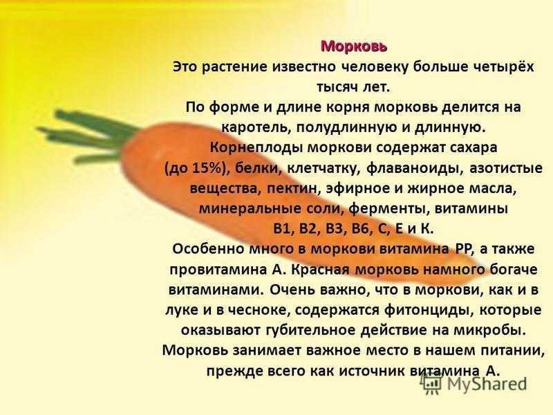 Почему у моркови оранжевый цвет