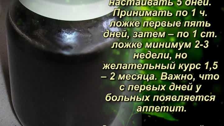 Алоэ с медом и кагором: рецепт настойки, ее польза для здоровья – сайт о винограде и вине