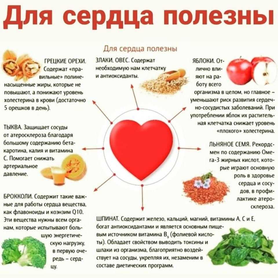 Как влияет чеснок на сердце: может ли оно болеть, польза и вред этого овоща для здоровья и главного органа человека