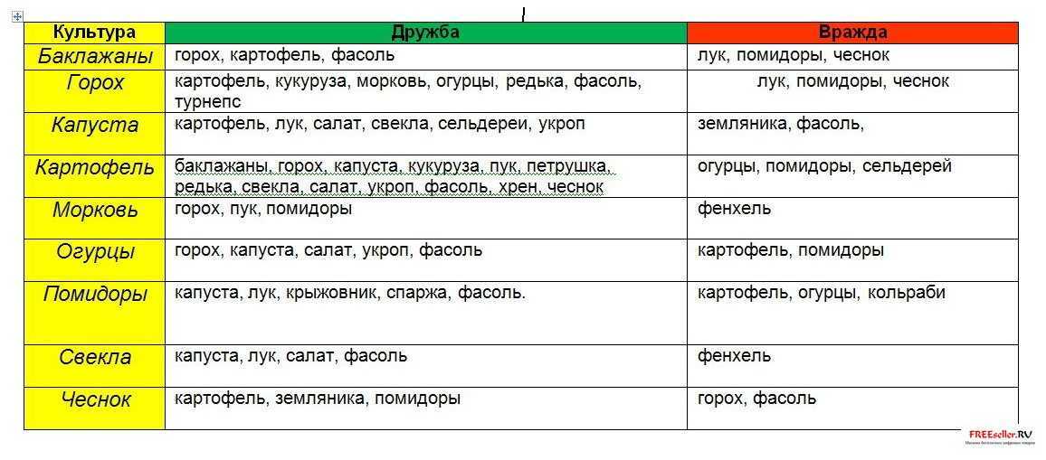 Пять способов севооборота для дачного участка. таблицы севооборота овощных культур — ботаничка