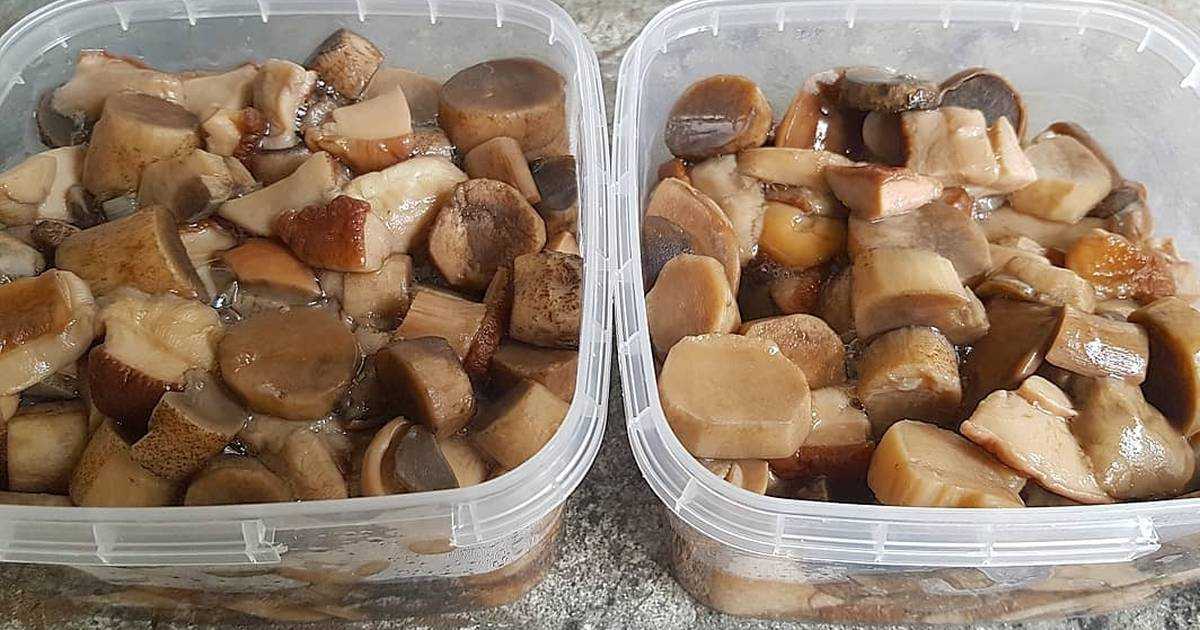 Польские грибы на зиму: простые и вкусные рецепты, как готовить