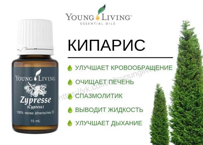 Какие цветы нельзя держать дома: фото и названия