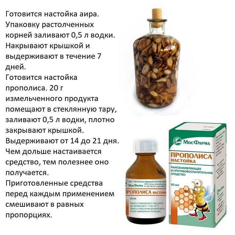 Кактус опунция: лечебные свойства масла, плодов, настойки, польза и вред, применение
