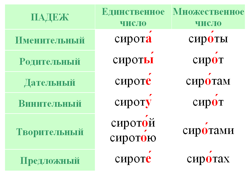 Ударение в слове «свекла»