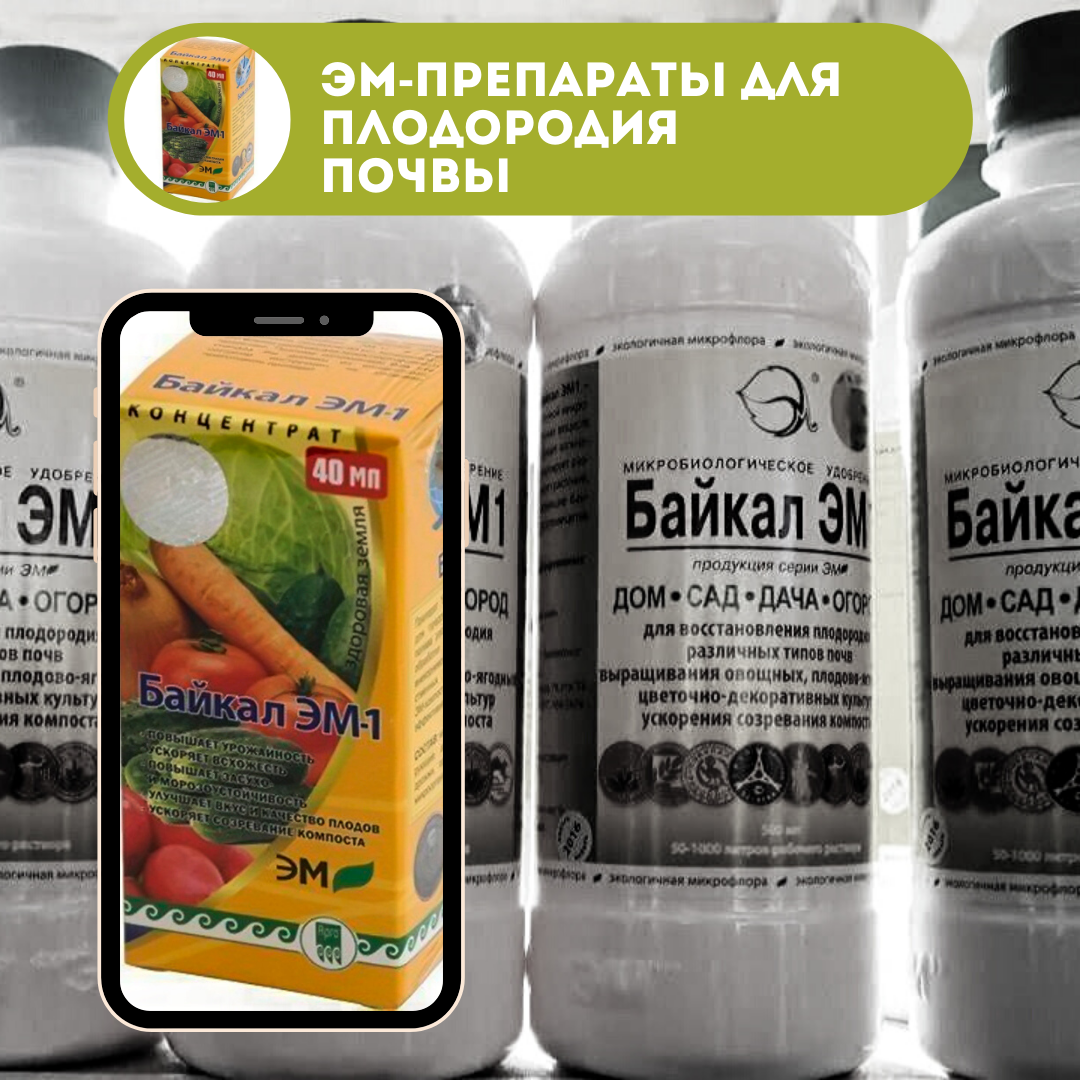 Байкал эм 1: способ применения, инструкция, изготовление в домашних условиях.