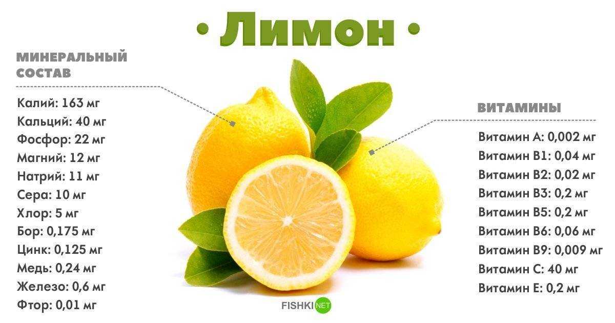 Польза и вред лимона для организма, витамины, калорийность фрукта