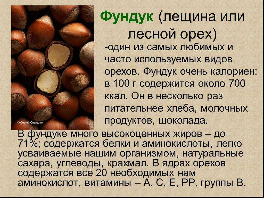 Главная ценность серого ореха — его полезные свойства Однако вырастить его совсем непросто, потому что растению требуется много пространства, а еще оно предъявляет особые требования к освещению и уровню влажности почвы