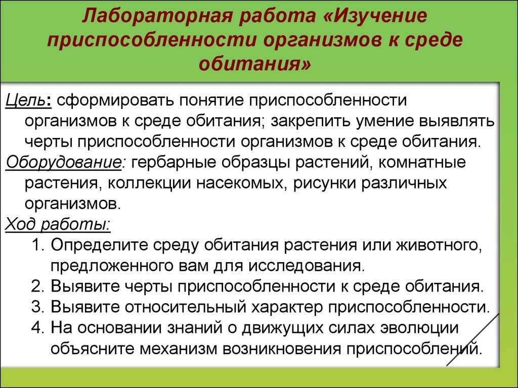Кактус среда обитания черты приспособленности относительный характер