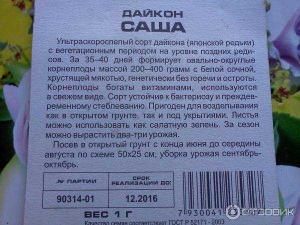 Японский редис дайкон: польза и вред для организма человека, сроки посева и состав