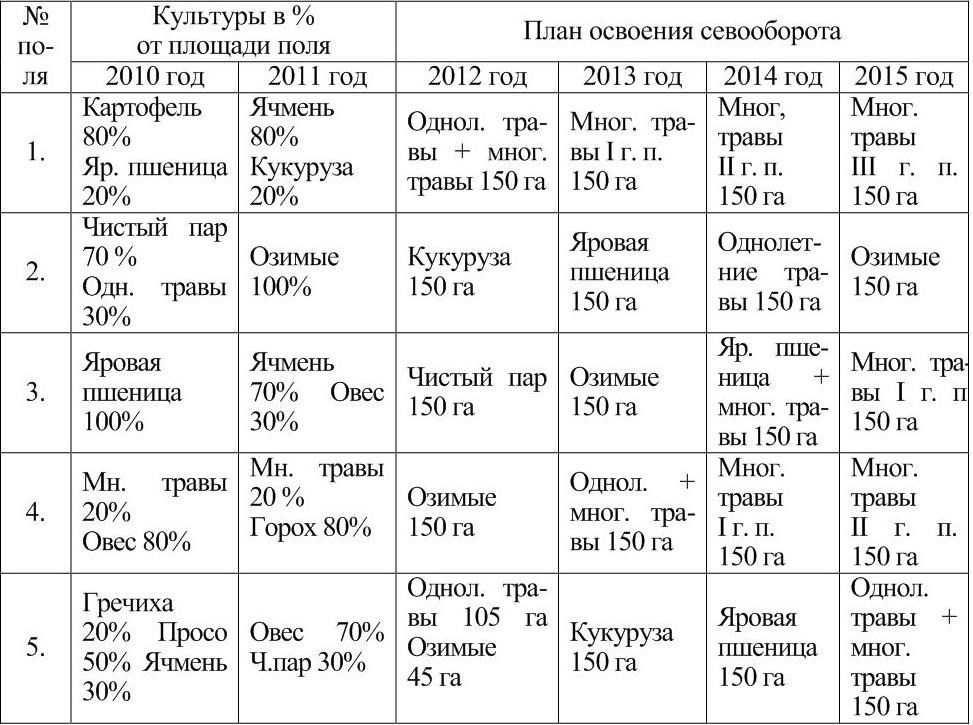 Что сажать после капусты на следующий год. после чего сажать капусту