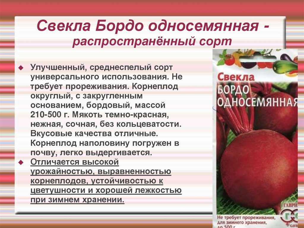 Свекла мулатка: характеристика и описание сорта, фото, отзывы садоводов, видео