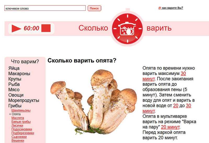 Польский гриб - фото и описание, рецепты