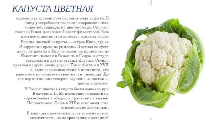 Какой мороз выдерживает капуста при хранении