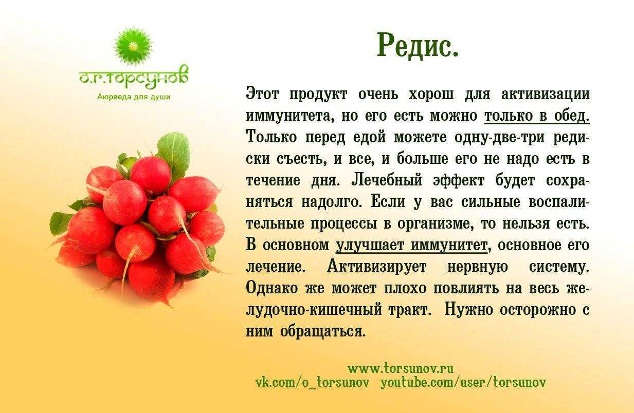 Стебель редиски: можно ли есть листья, что приготовить из ботвы, рецепт салата, полезные свойства и противопоказания, как правильно сушить, химический состав