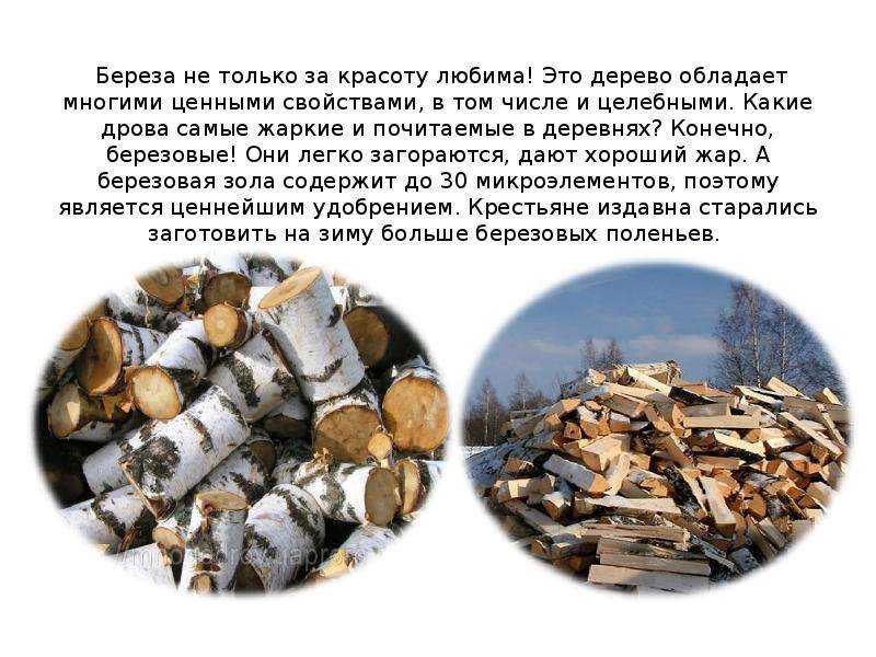 Как укладывать дрова для просушки и хранения на улице зимой