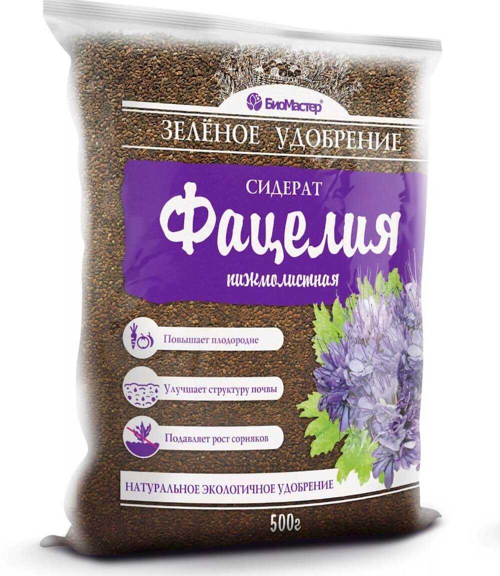 Нюансы выращивания и использования фацелии в качестве сидерата