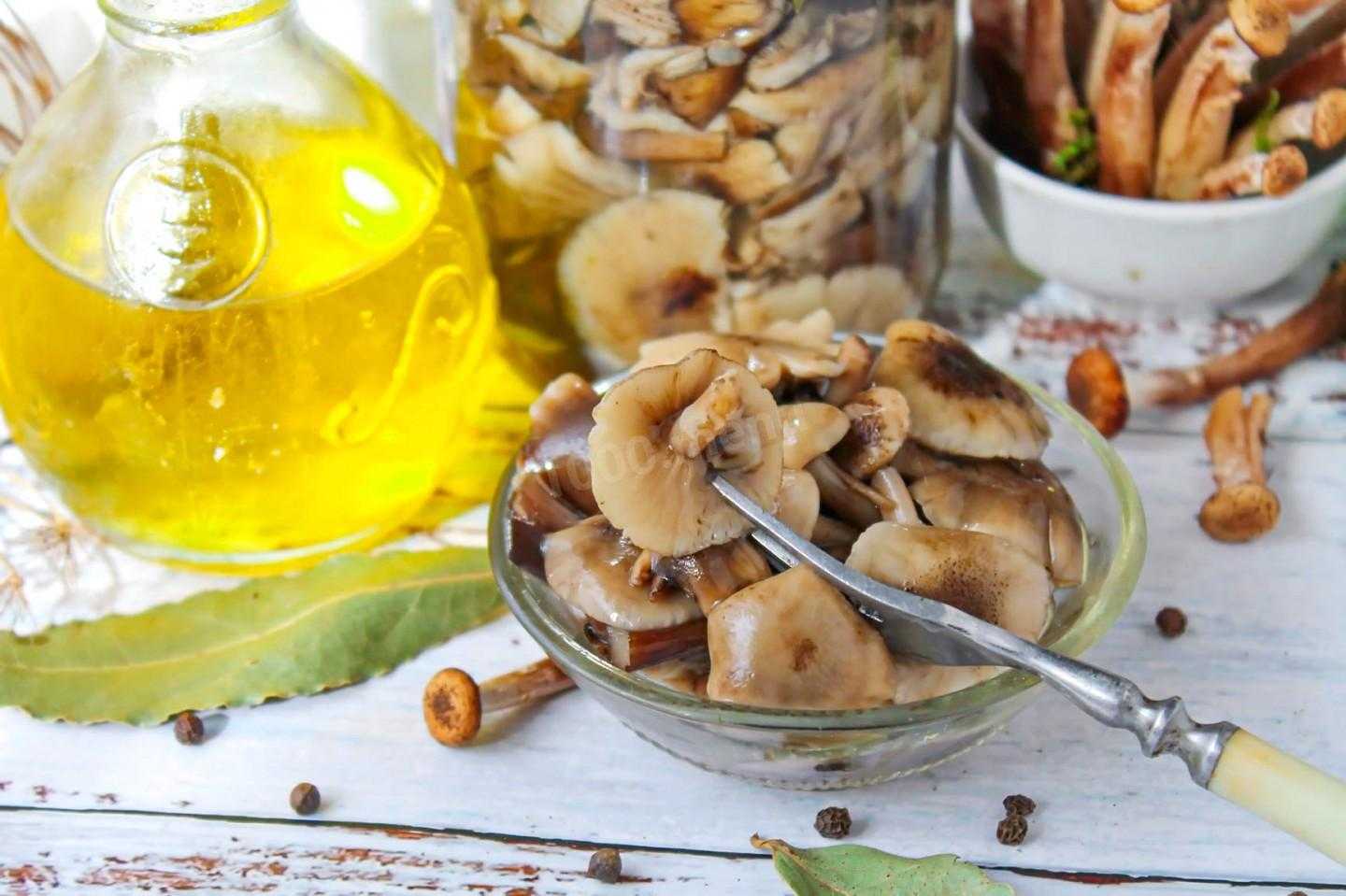 Козляк гриб как готовить. приготовление грибов козляк