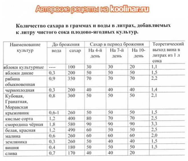 Вино из винограда — простые рецепты в домашних условиях