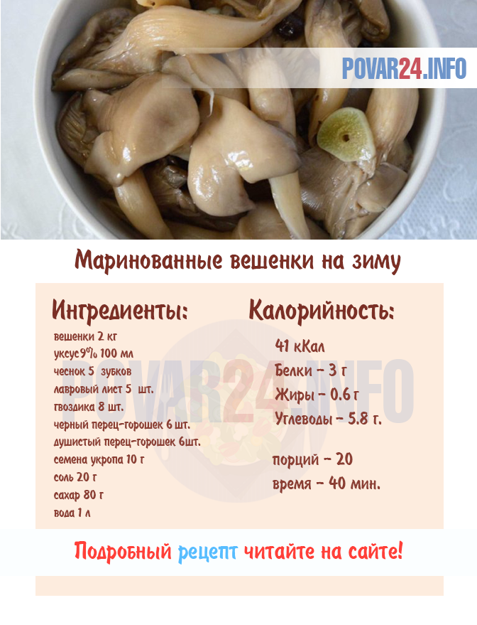 Вешенки быстрого приготовления: маринованные, на зиму, 11 блюд