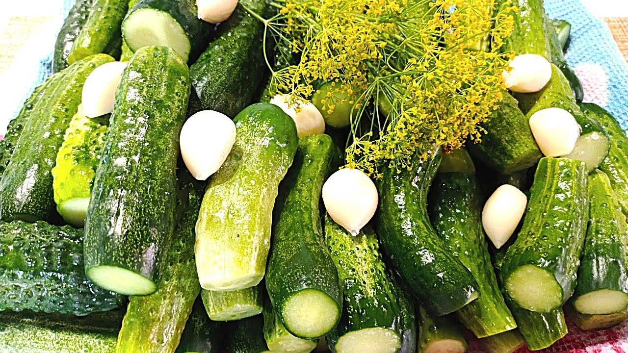Как сохранить огурцы свежими подольше в домашних условиях?