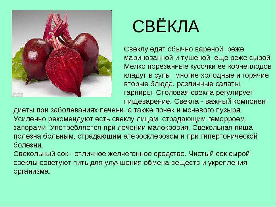 Как убрать горечь из свеклы - дачныйуголок