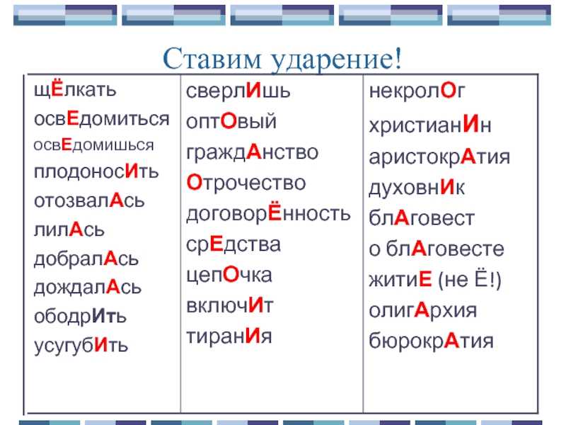 Как правильно пишется слово свеклы
