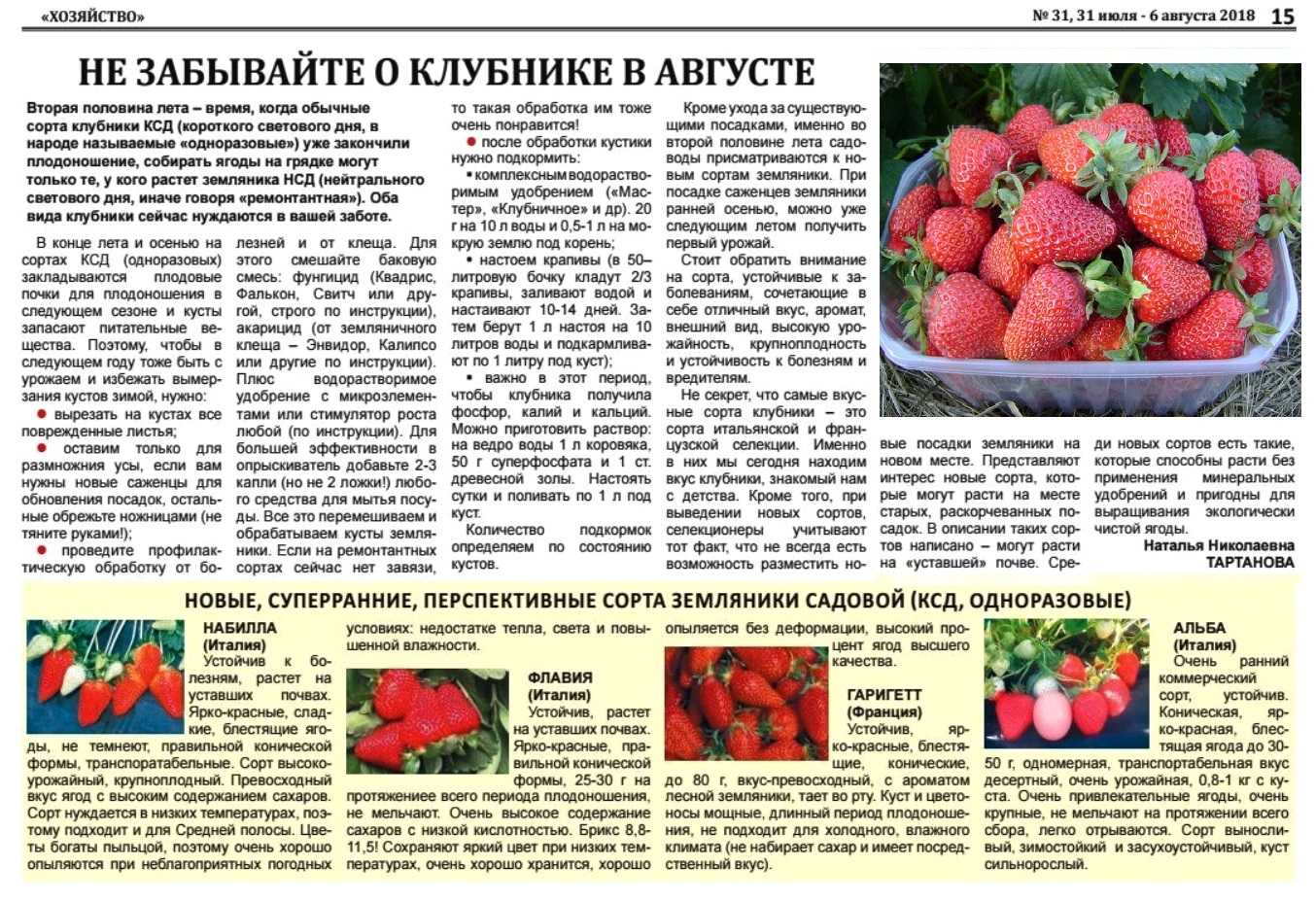 Какие удобрения необходимо вносить при посадке клубники